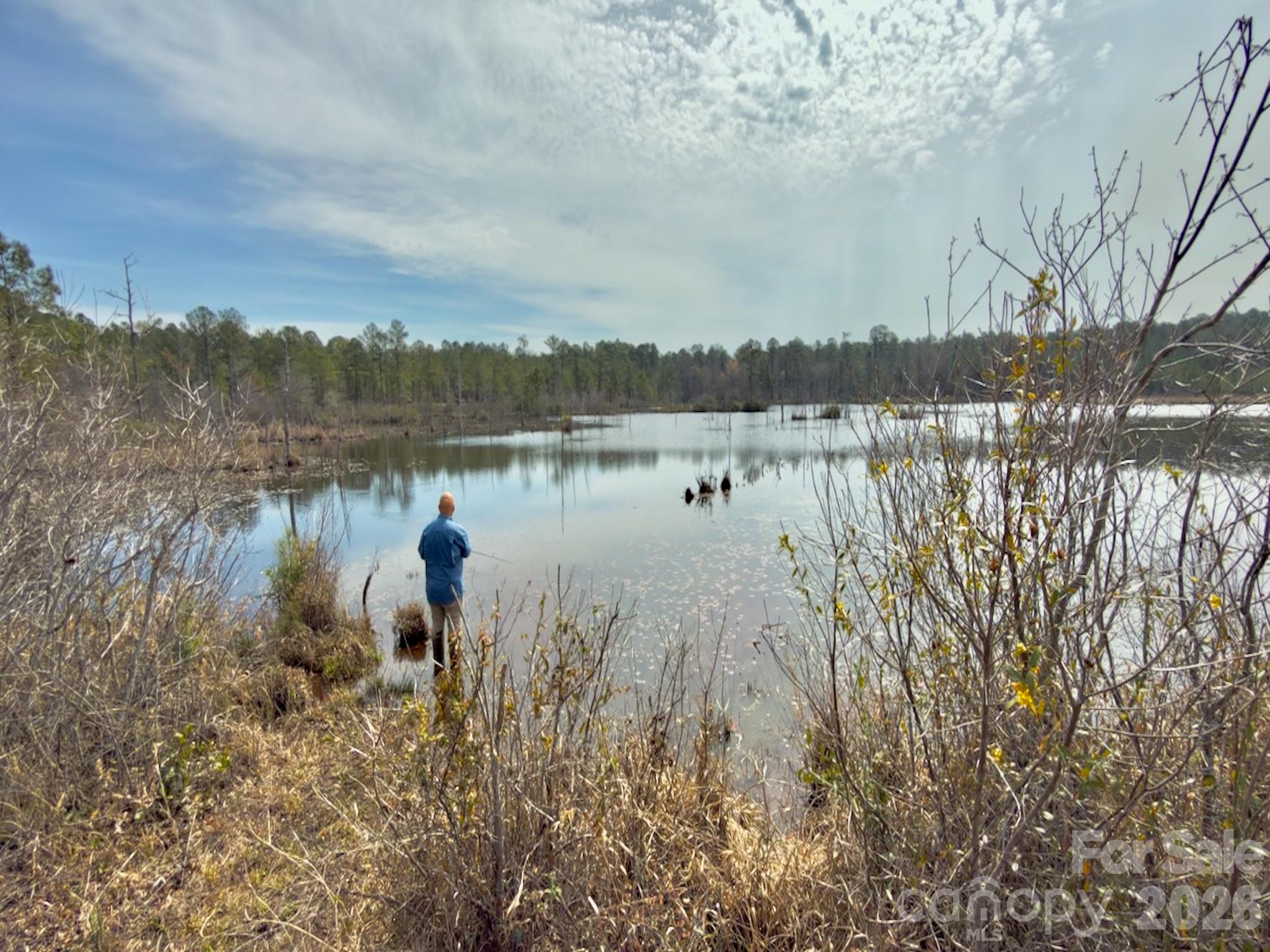 0 Lobelia Road Vass, NC 28394 - Photo 6 of 48