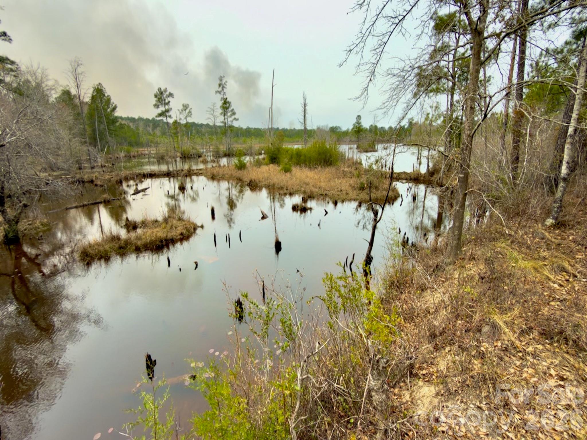 0 Lobelia Road Vass, NC 28394 - Photo 7 of 48