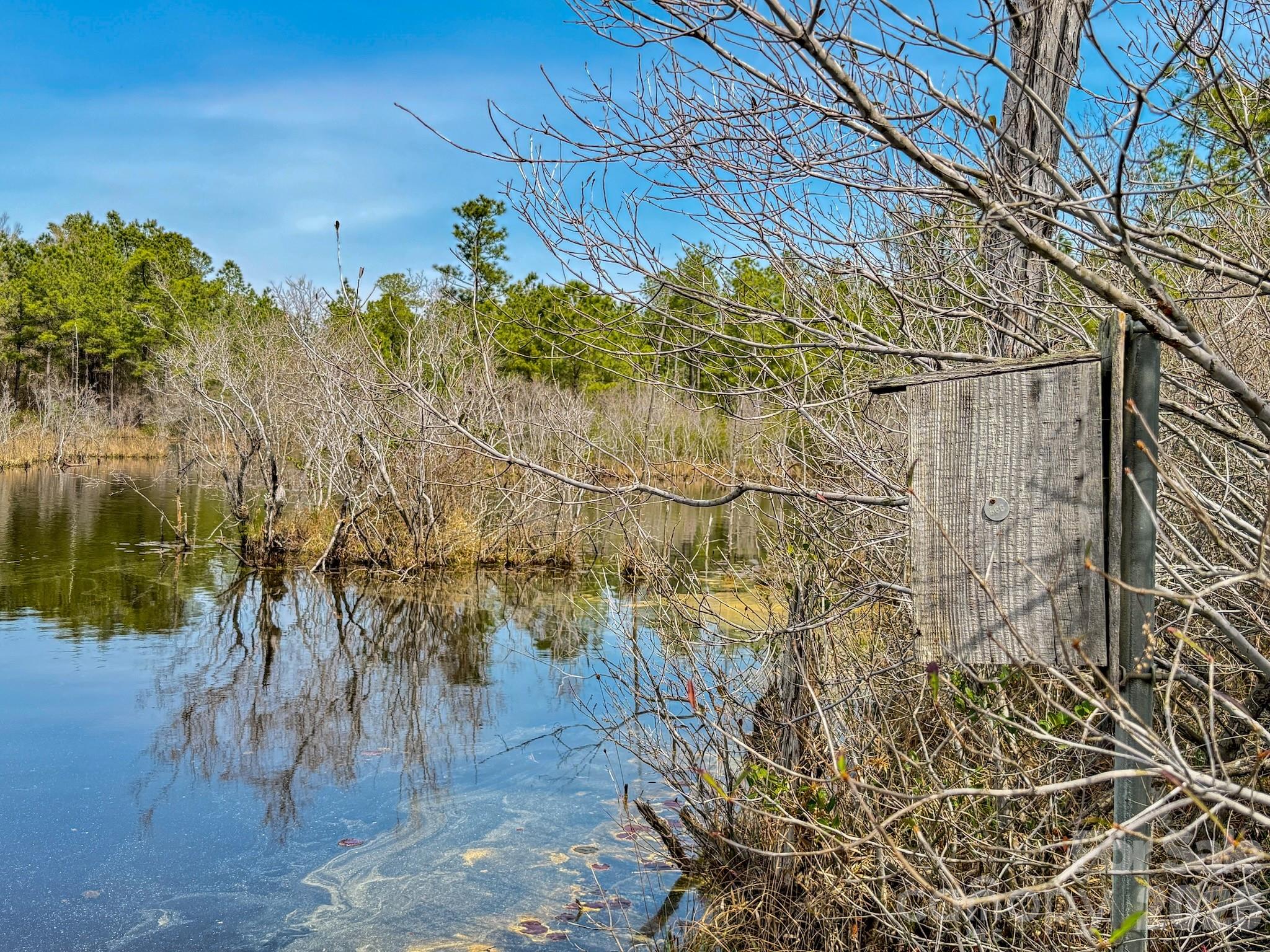 0 Lobelia Road Vass, NC 28394 - Photo 8 of 48