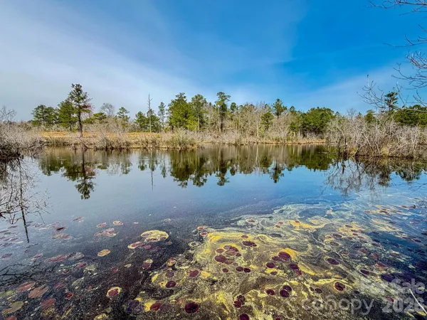 a view of a lake with a mountain