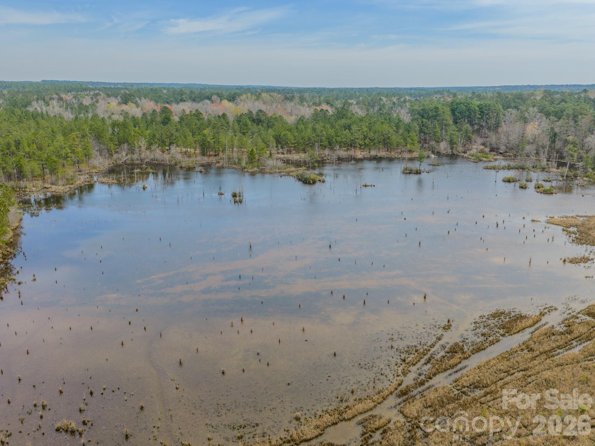0 Lobelia Road Vass, NC 28394 - Photo 10 of 48