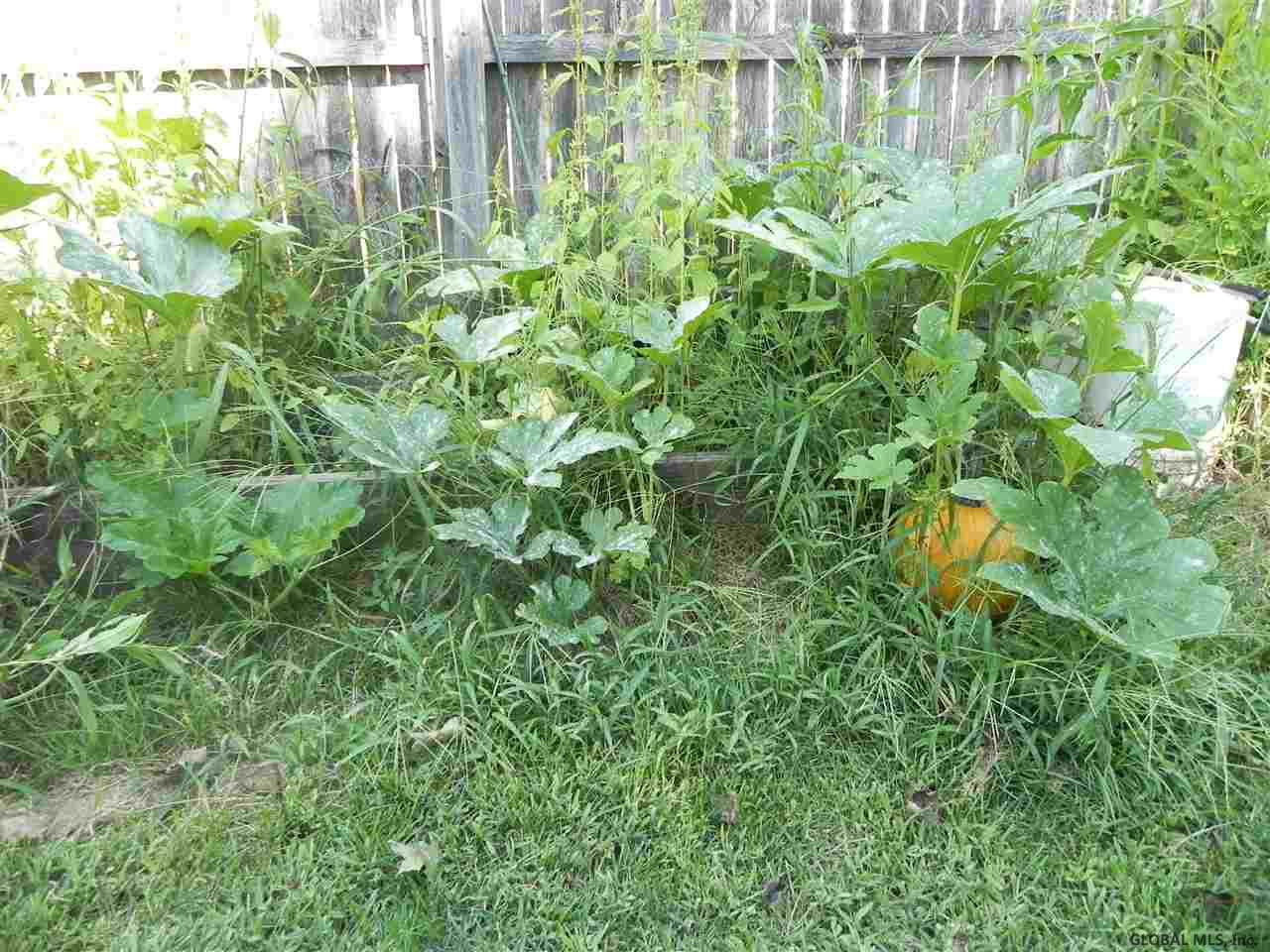 234 Kings Road Schenectady, NY 12304 - Photo 21 of 25 YOUR VERY OWN PUMPKIN PATCH!