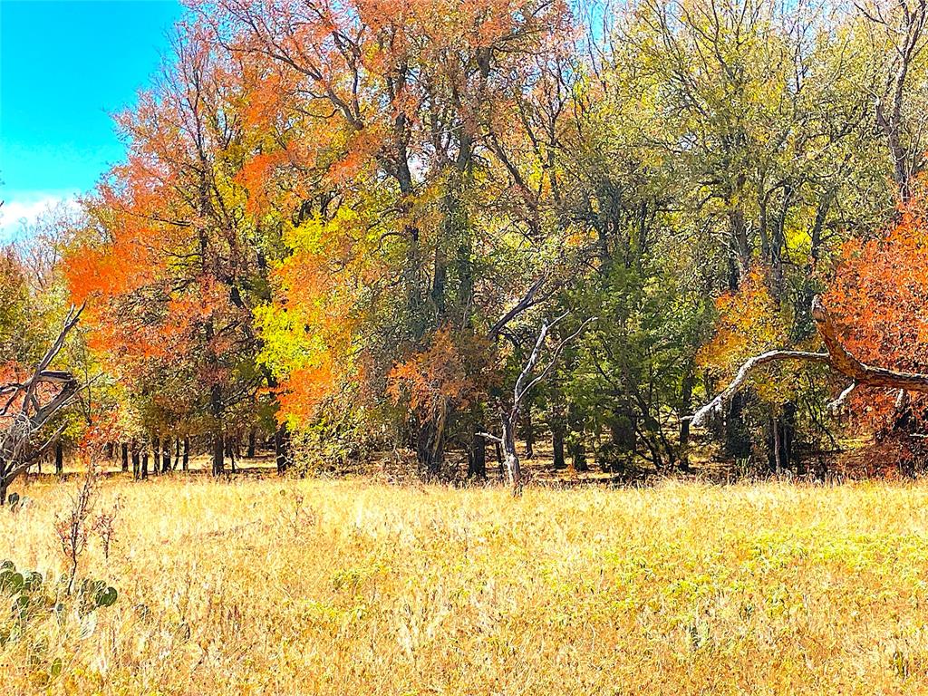 a view of swimming pool with an outdoor space
