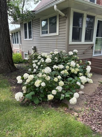 a bunch of flowers in the house front of house