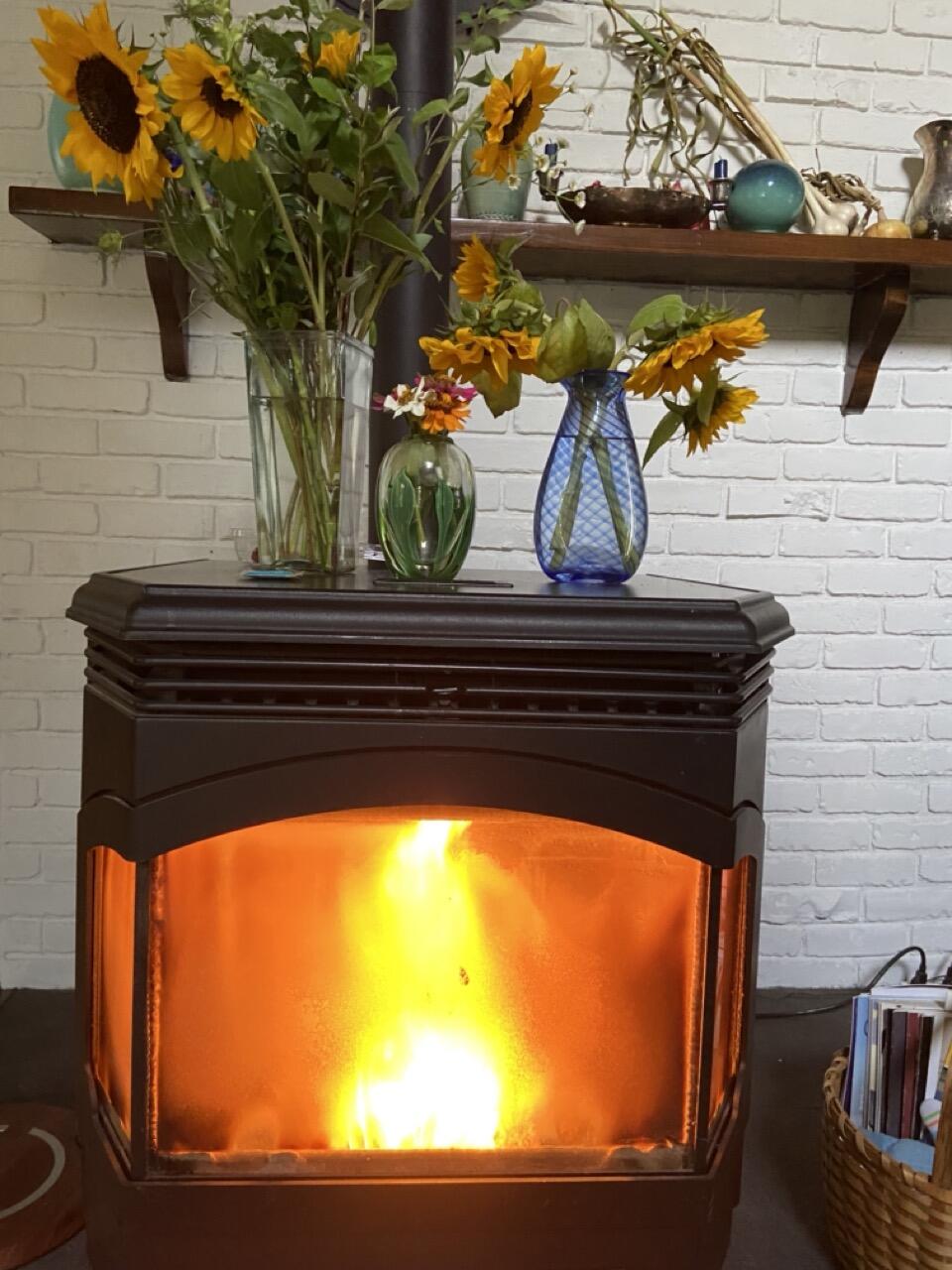 6111 Longbridge Road Pentwater, MI 49449 - Photo 12 of 41 pellet stove Large