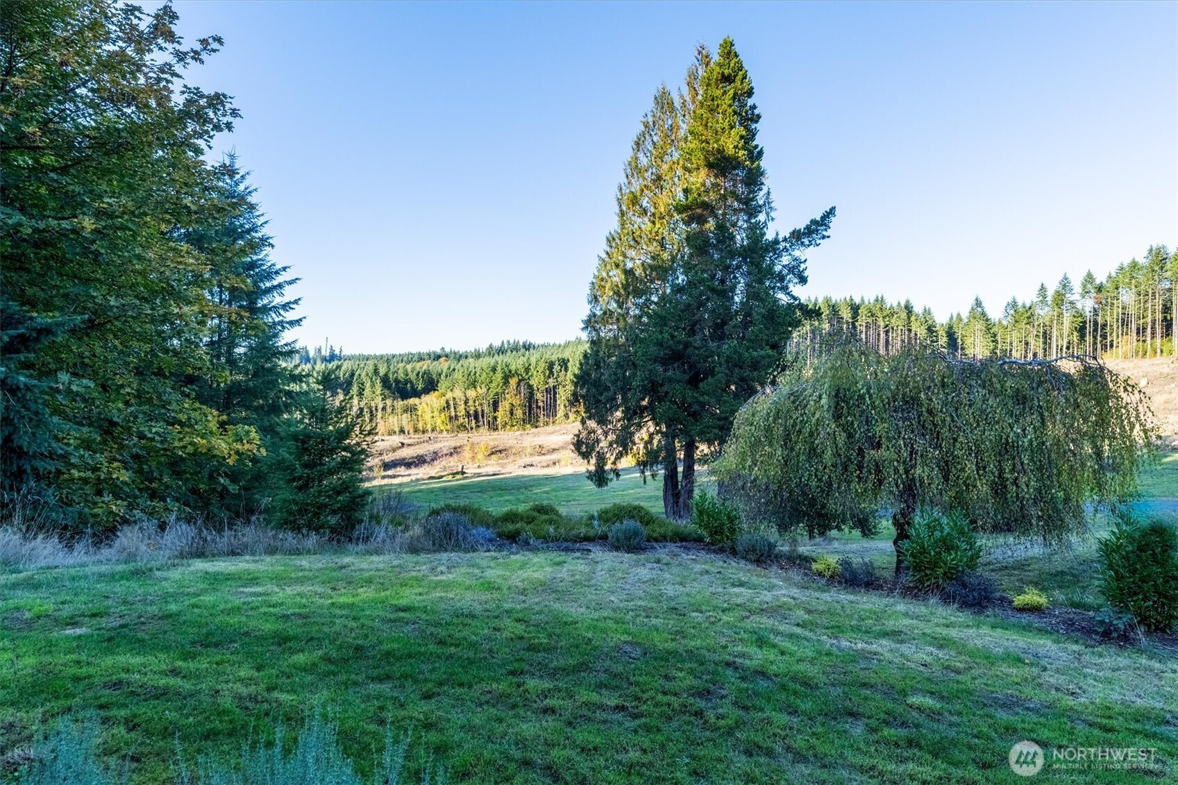 508 Caldwell Road Castle Rock, WA 98611 - Photo 31 of 40 a view of an outdoor space and a yard
