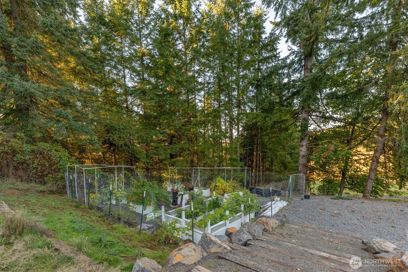 508 Caldwell Road Castle Rock, WA 98611 - Photo 39 of 40 a backyard of a house with lots of green space and lake view