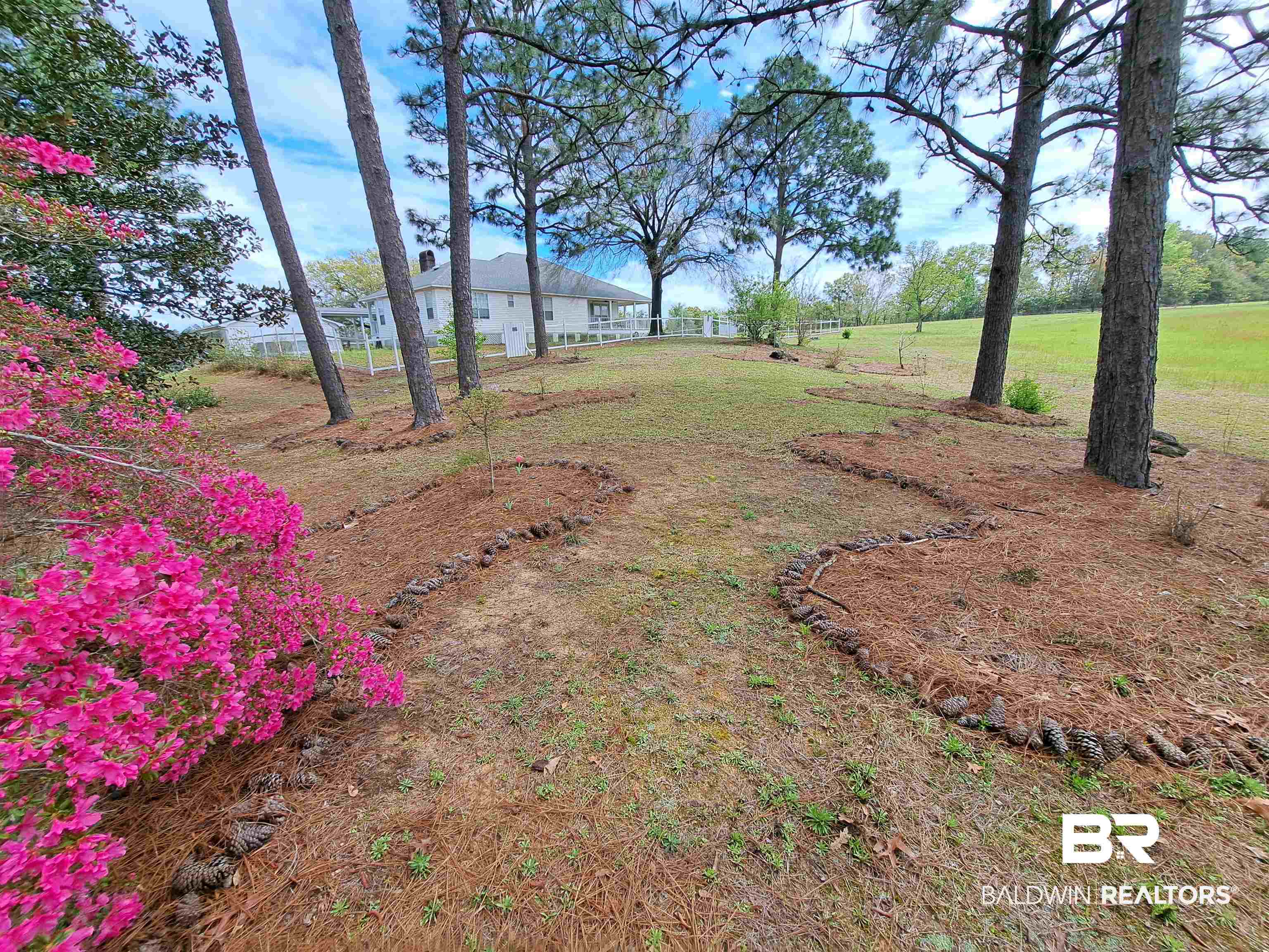 7650 Iron Rush Road Wilmer, AL 36587 - Photo 3 of 34 View of grassy yard