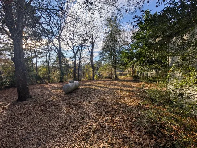 a view of a tree with some trees