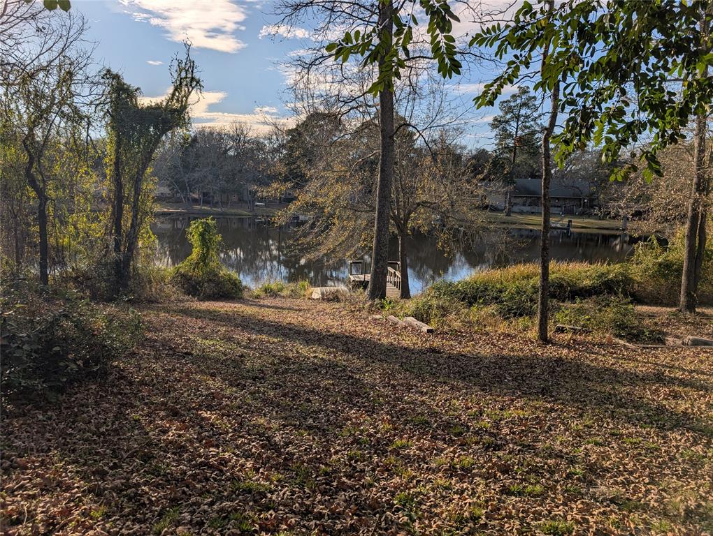 6480 County Road 4508 Athens, TX 75752 - Photo 6 of 15