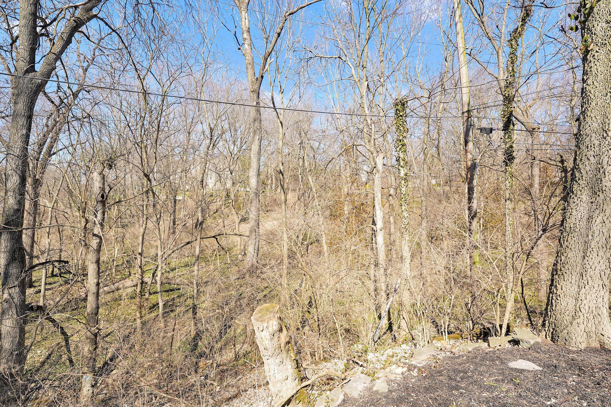 2895 Charing Road Columbus, OH 43221 - Photo 24 of 24 Backyard