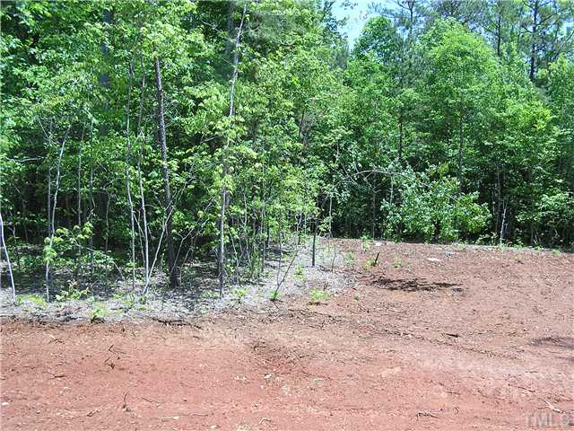 1137 Farmers Branch Road Willow Spring, NC 27592 - Photo 3 of 5 a view of a yard with plants and trees