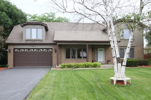 3699 Ronald Road Crete, IL 60417 - Photo 1 of 20
