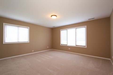3699 Ronald Road Crete, IL 60417 - Photo 12 of 20