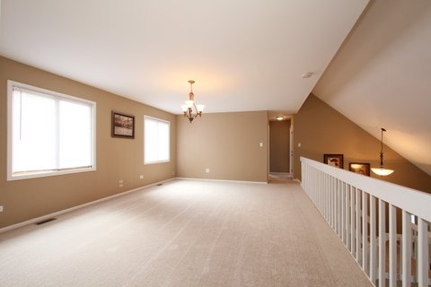 3699 Ronald Road Crete, IL 60417 - Photo 10 of 20