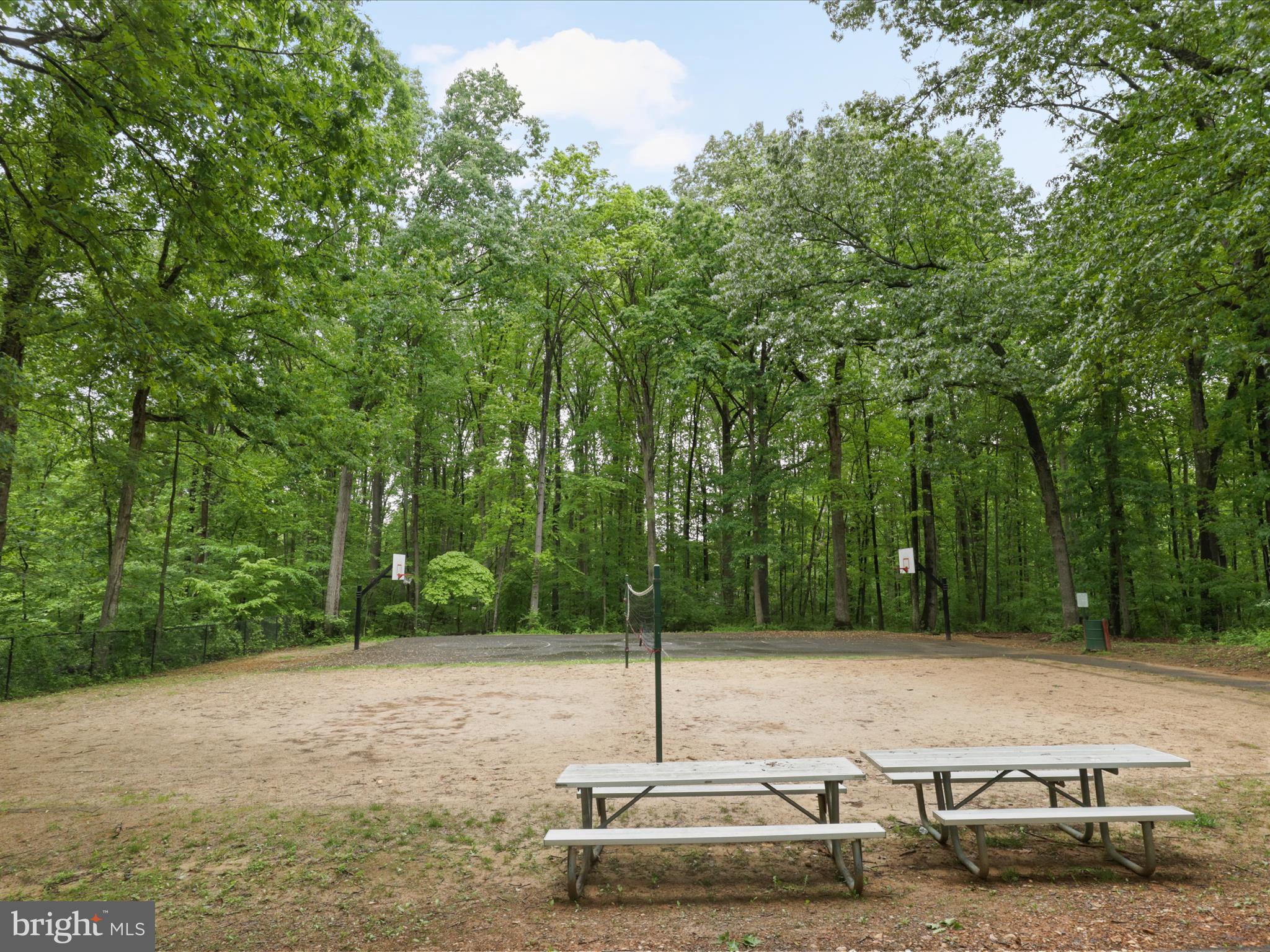 7313 Husky Lane Springfield, VA 22151 - Photo 39 of 49 a view of a park with large trees