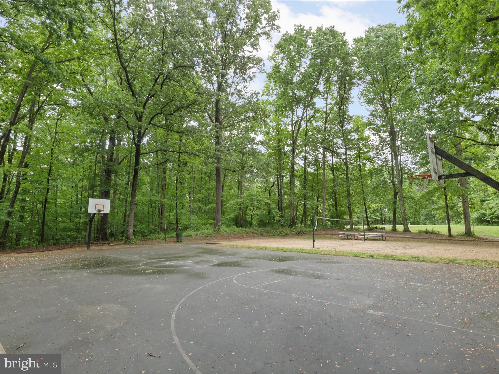7313 Husky Lane Springfield, VA 22151 - Photo 41 of 49 a view of a park with large trees