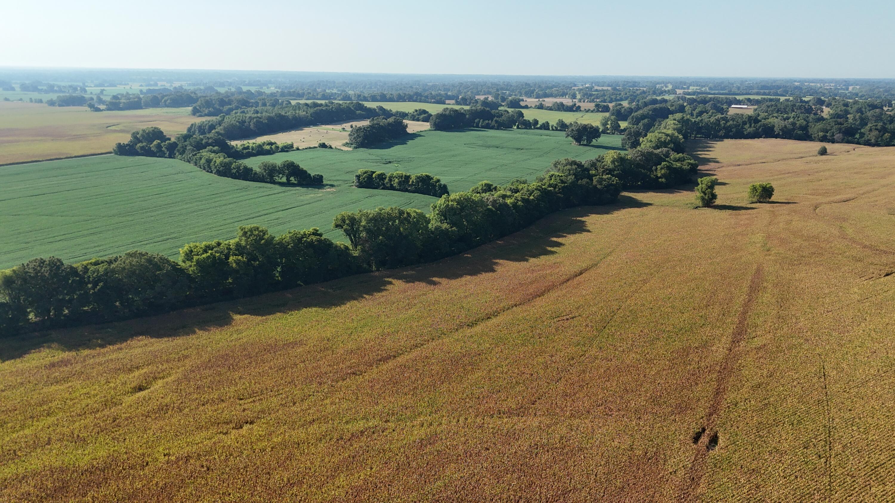 3920 Antioch Highway 51 Road Covington, TN 38019 - Photo 17 of 32 DJI_20250819103225_0132_D