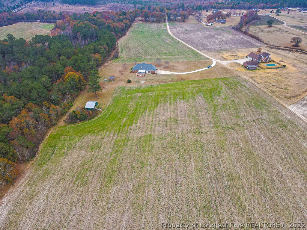 4051 Mt Tabor Road Red Springs, NC 28377 - Photo 47 of 50 an aerial view of garden space