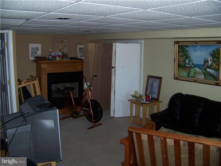 23 Ralph Avenue Sinking Spring, PA 19608 - Photo 8 of 10 Basement - Finished
