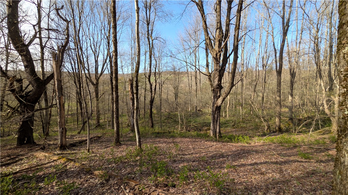 2332 Houghtaling Hollow Road East Meredith, NY 13757 - Photo 38 of 44