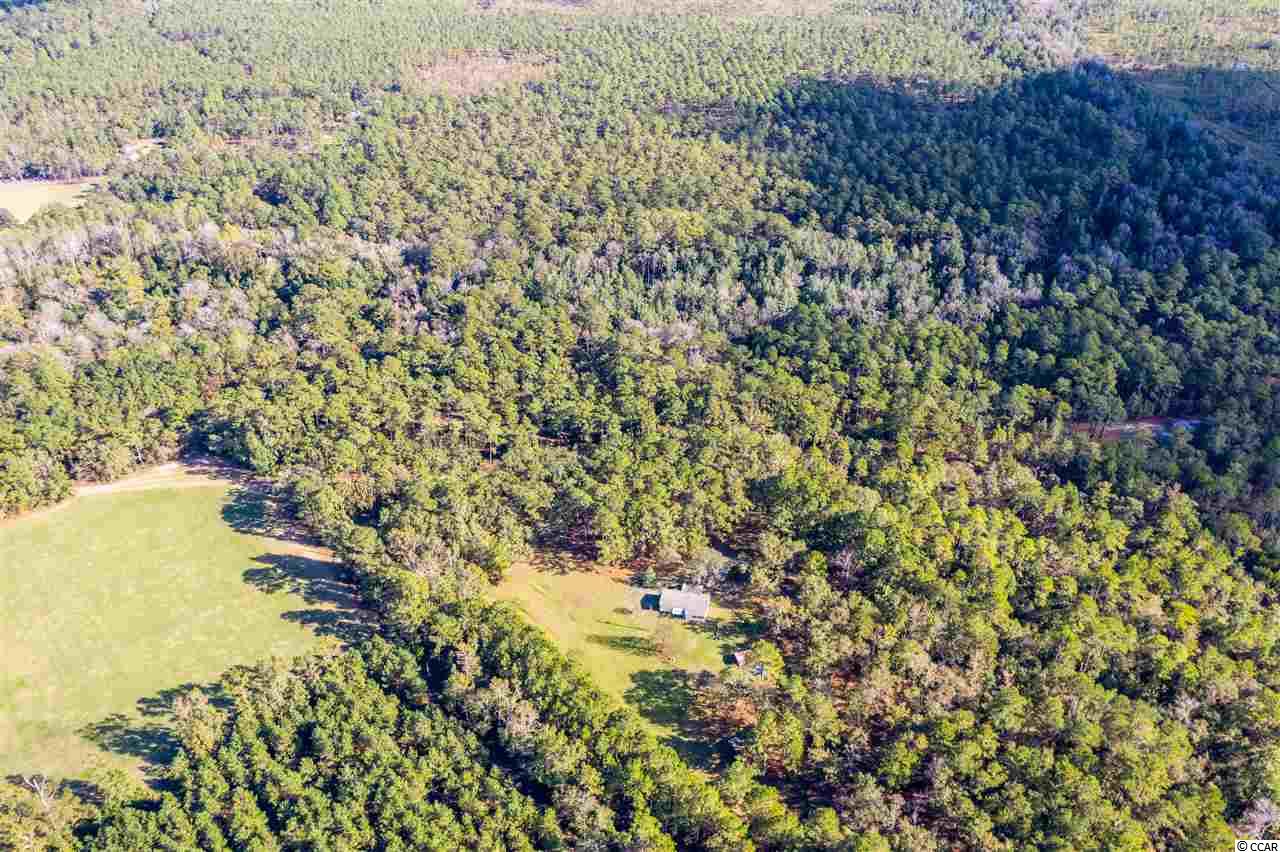 2701 Edge Road Conway, SC 29526 - Photo 7 of 17 Gallery Image 7