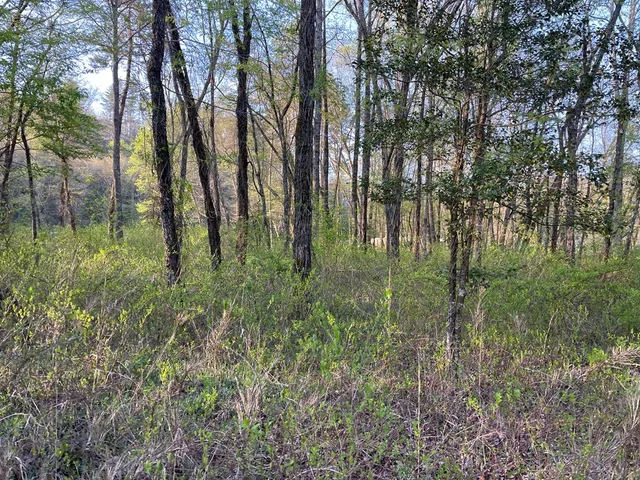 $89,500 | 0 River Farm Drive, Murphy, NC 28906