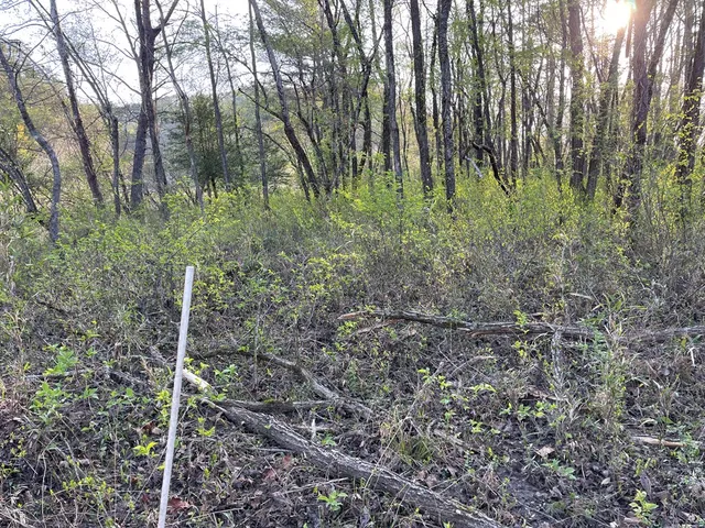 $89,500 | 0 River Farm Drive, Murphy, NC 28906