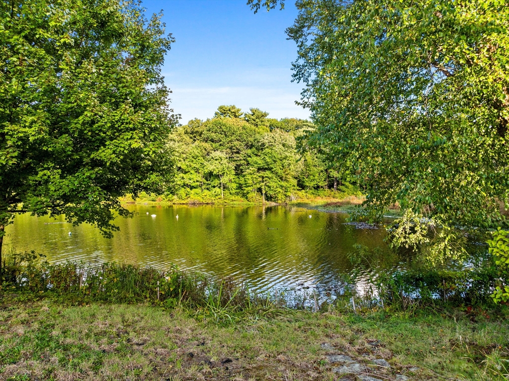 189 Islington Road Newton, MA 02466 - Photo 18 of 22