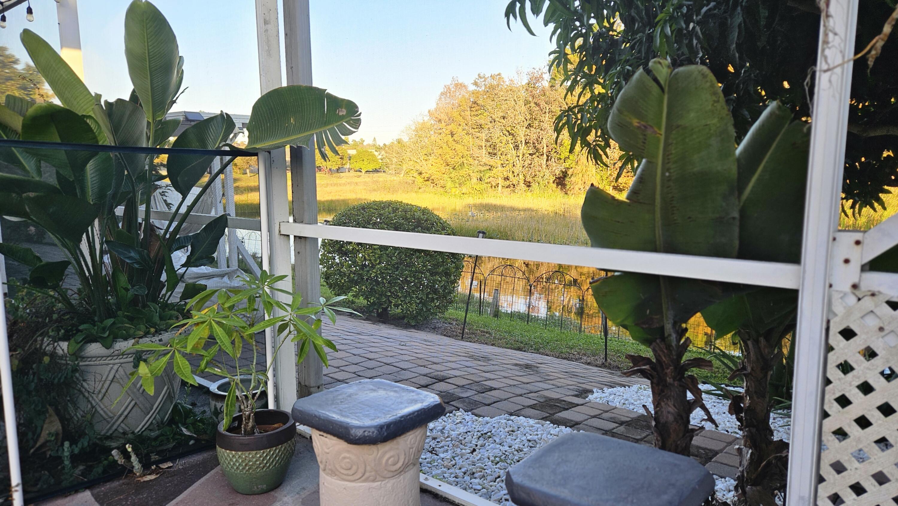 1768 Sawgrass Circle Greenacres, FL 33413 - Photo 7 of 40 a view of a backyard with plants