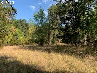 0 Northeast Newton Creek Road Roseburg, OR 97470 - Photo 2 of 9 a view of lake