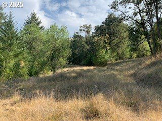 0 Northeast Newton Creek Road Roseburg, OR 97470 - Photo 3 of 9 a view of a lake with a yard