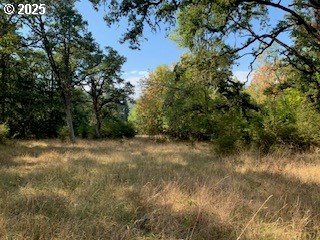 0 Northeast Newton Creek Road Roseburg, OR 97470 - Photo 4 of 9 a view of a yard with a tree