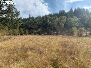0 Northeast Newton Creek Road Roseburg, OR 97470 - Photo 5 of 9 a view of a yard covered in snow