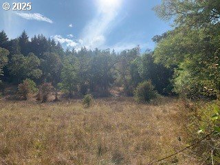 0 Northeast Newton Creek Road Roseburg, OR 97470 - Photo 6 of 9 a view of a yard with a tree
