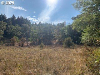 0 Northeast Newton Creek Road Roseburg, OR 97470 - Photo 7 of 9 a view of a yard with a tree