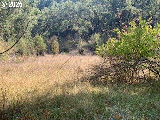 0 Northeast Newton Creek Road Roseburg, OR 97470 - Photo 8 of 9 a view of empty space and trees