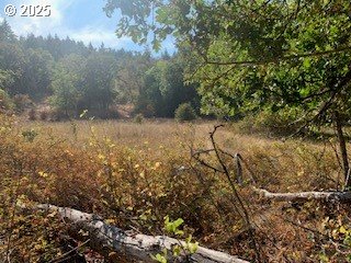 0 Northeast Newton Creek Road Roseburg, OR 97470 - Photo 9 of 9 a view of a yard with a tree