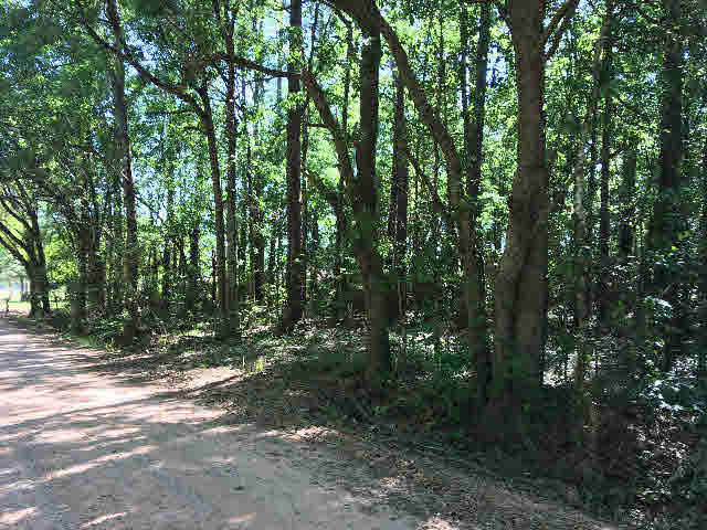 14839 Juniper Street North Foley, AL 36535 - Photo 2 of 4