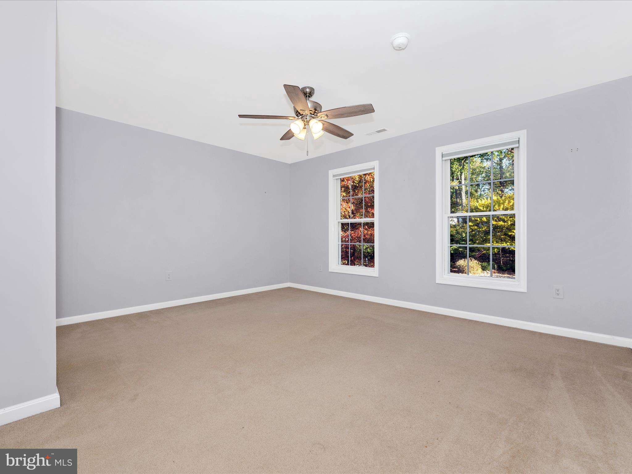 10027 Pine Tree Road Woodsboro, MD 21798 - Photo 47 of 81 an empty room with windows and ceiling fan