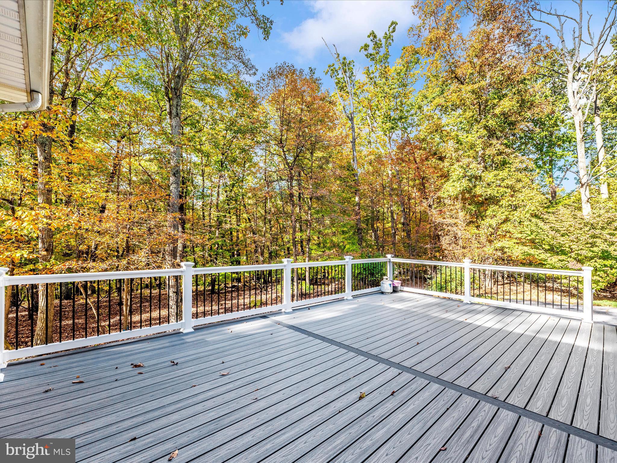 10027 Pine Tree Road Woodsboro, MD 21798 - Photo 71 of 81 Exterior Back