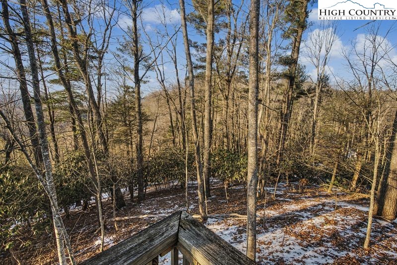 137 Granny's Ridge Road Ferguson, NC 28624 - Photo 26 of 27 a view of a forest