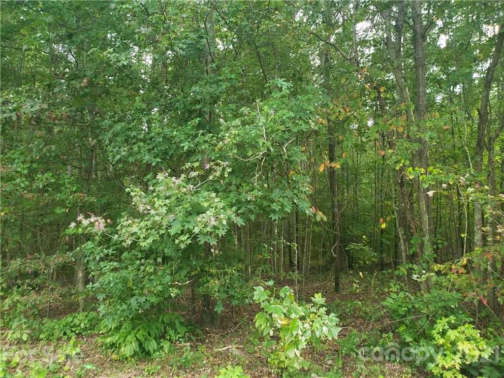 0 Mosley Road, Unit 2 Blacksburg, SC 29702 - Photo 4 of 8