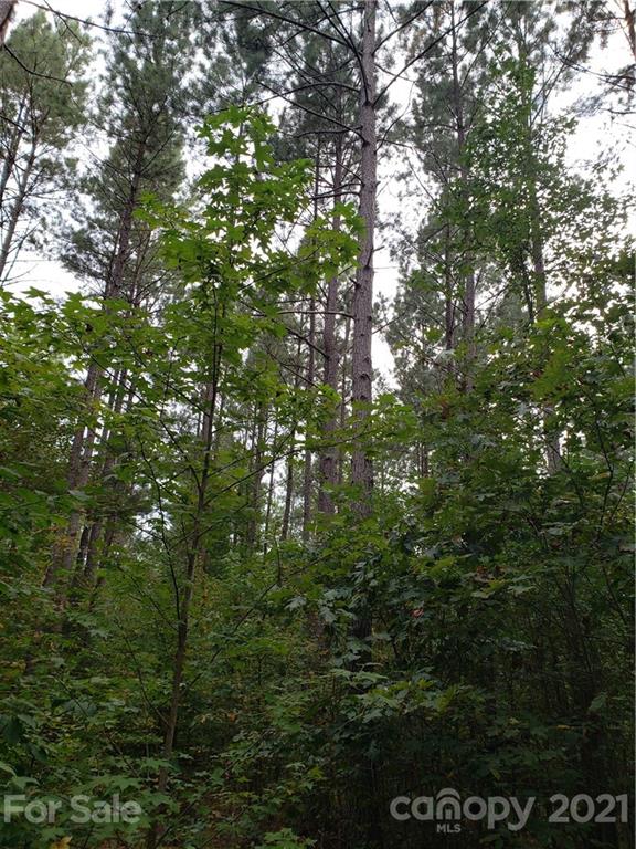 0 Mosley Road, Unit 2 Blacksburg, SC 29702 - Photo 6 of 8 a view of tree