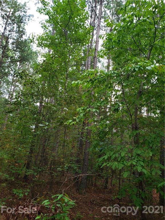 0 Mosley Road, Unit 2 Blacksburg, SC 29702 - Photo 7 of 8 a view of a forest with a tree