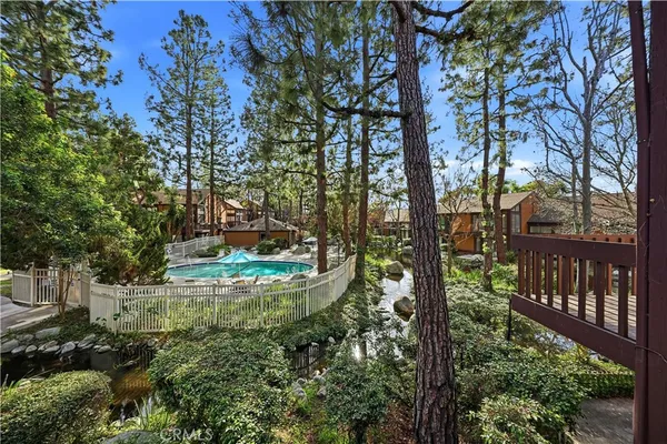 a view of a yard with plants and trees