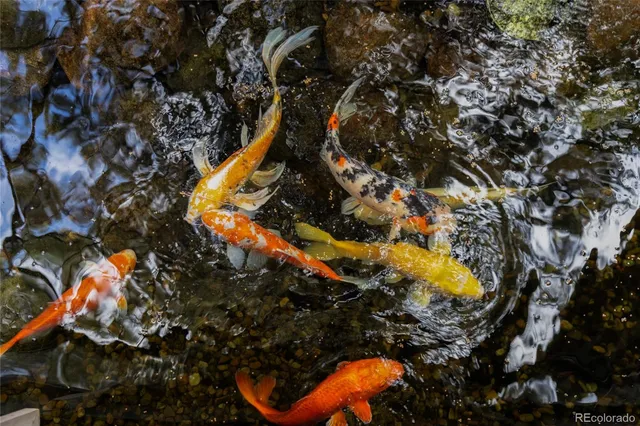 $2,495,000 | 1950 South Milwaukee Street, Denver, CO 80210