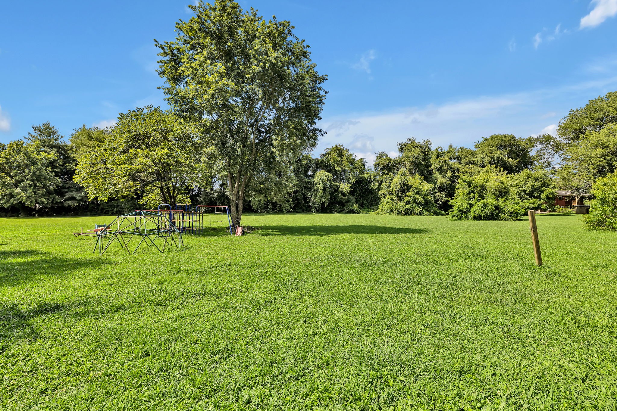 436 Youree Road Murfreesboro, TN 37127 - Photo 29 of 32 a view of a park with a tree in the background
