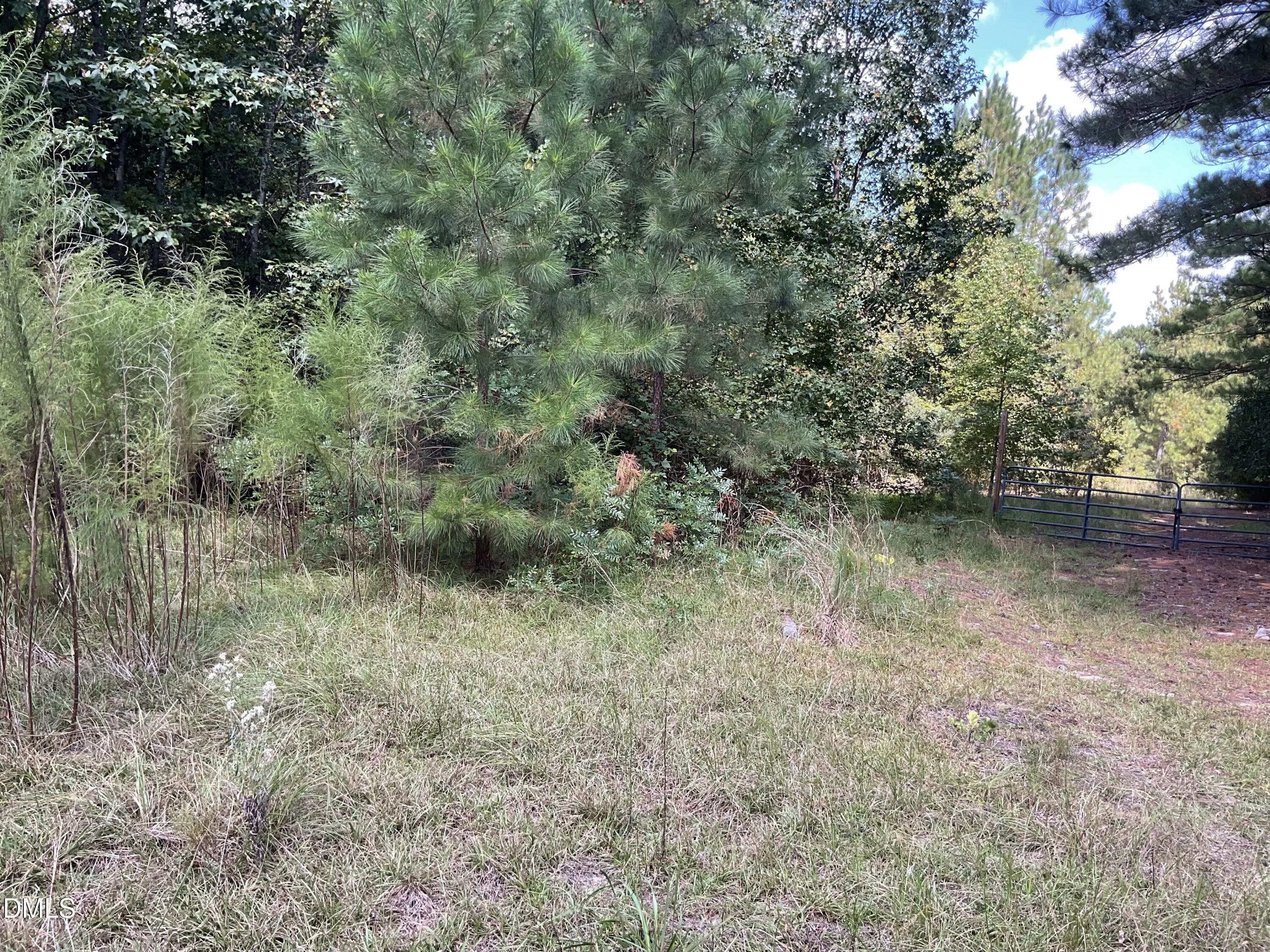 0 West Governor Brandon Street Spring Lake, NC 28390 - Photo 8 of 14