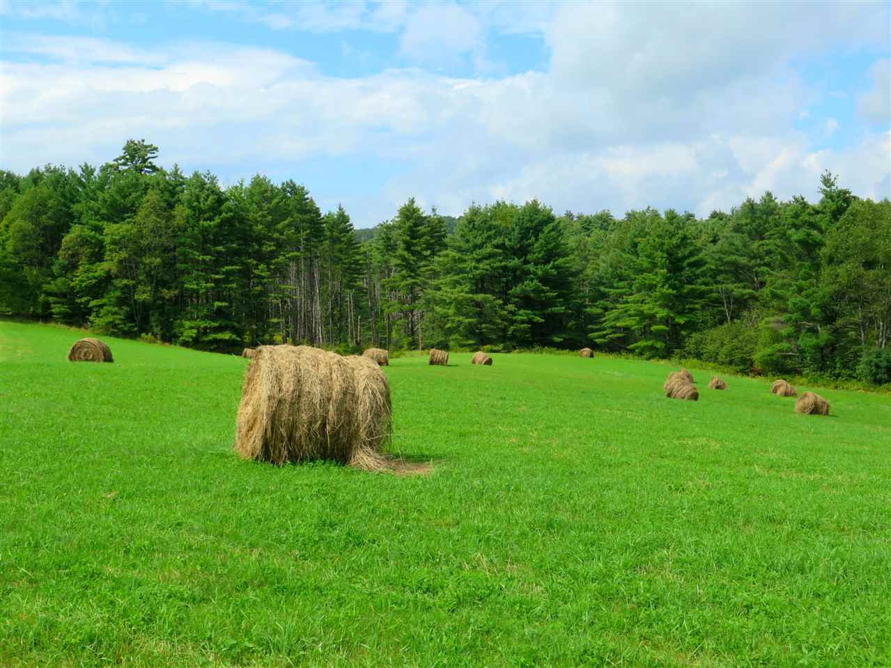 30 Fitzsimonds Road Jericho, VT 05465 - Photo 13 of 15
